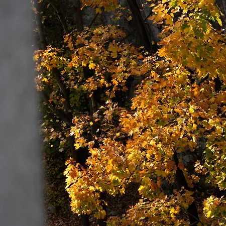 Oasis - Free Parking, Big Balcony, Private Park Lejlighed *